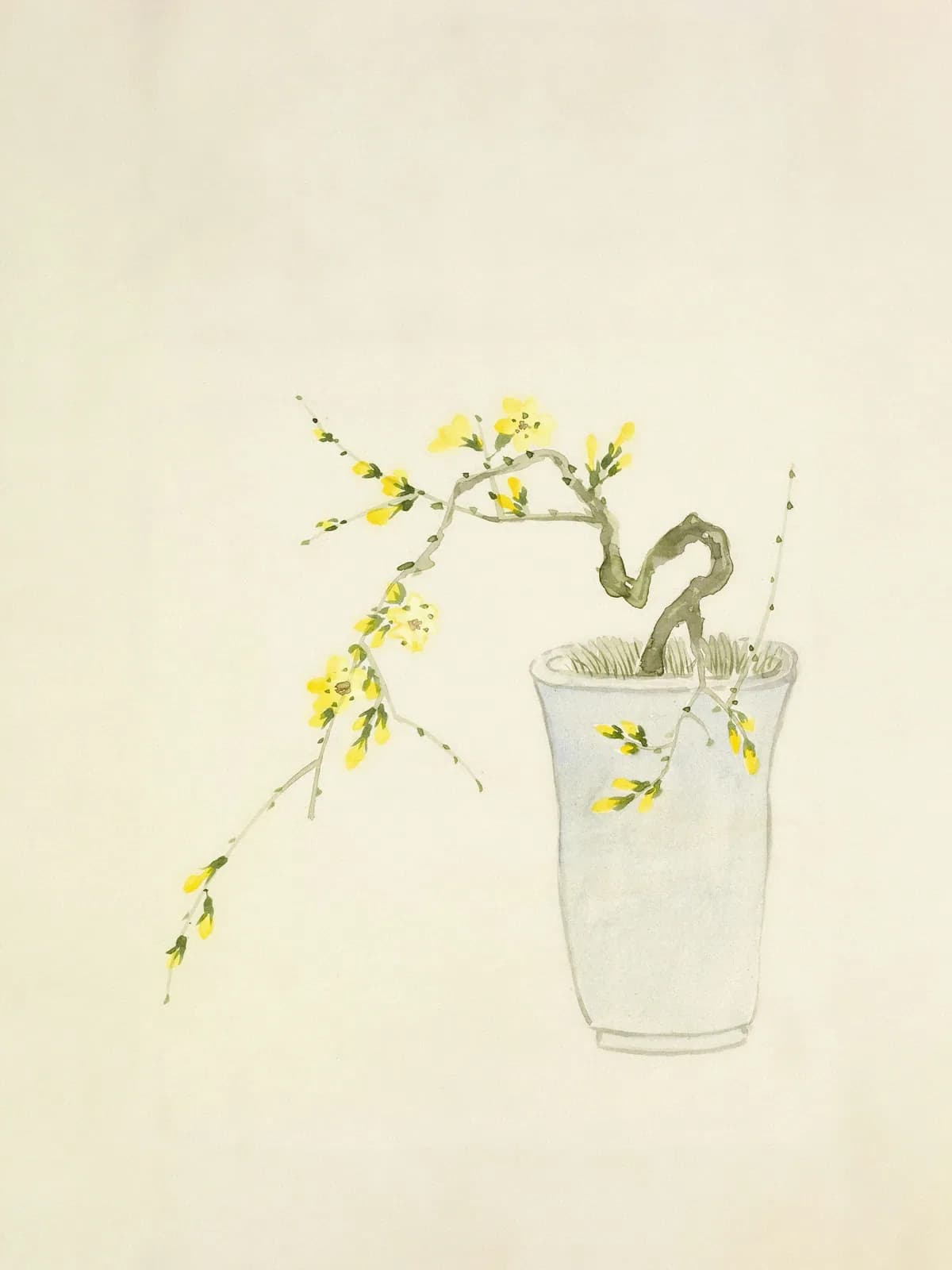 Watercolor of a flowering branch with small yellow blossoms arching out of a pale blue-gray pot